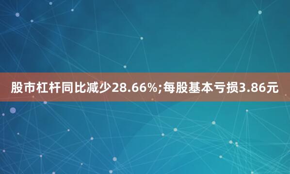 股市杠杆同比减少28.66%;每股基本亏损3.86元